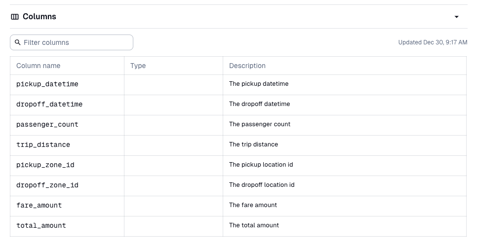 model schema as asset metadata in the Dagster UI
